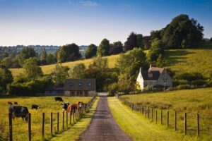 Experiência rural: x dicas para um passeio diferente