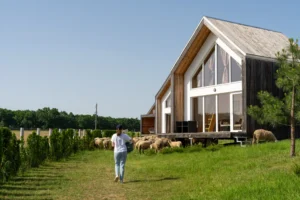 Mulher indo ver construção de casas pré fabricadas